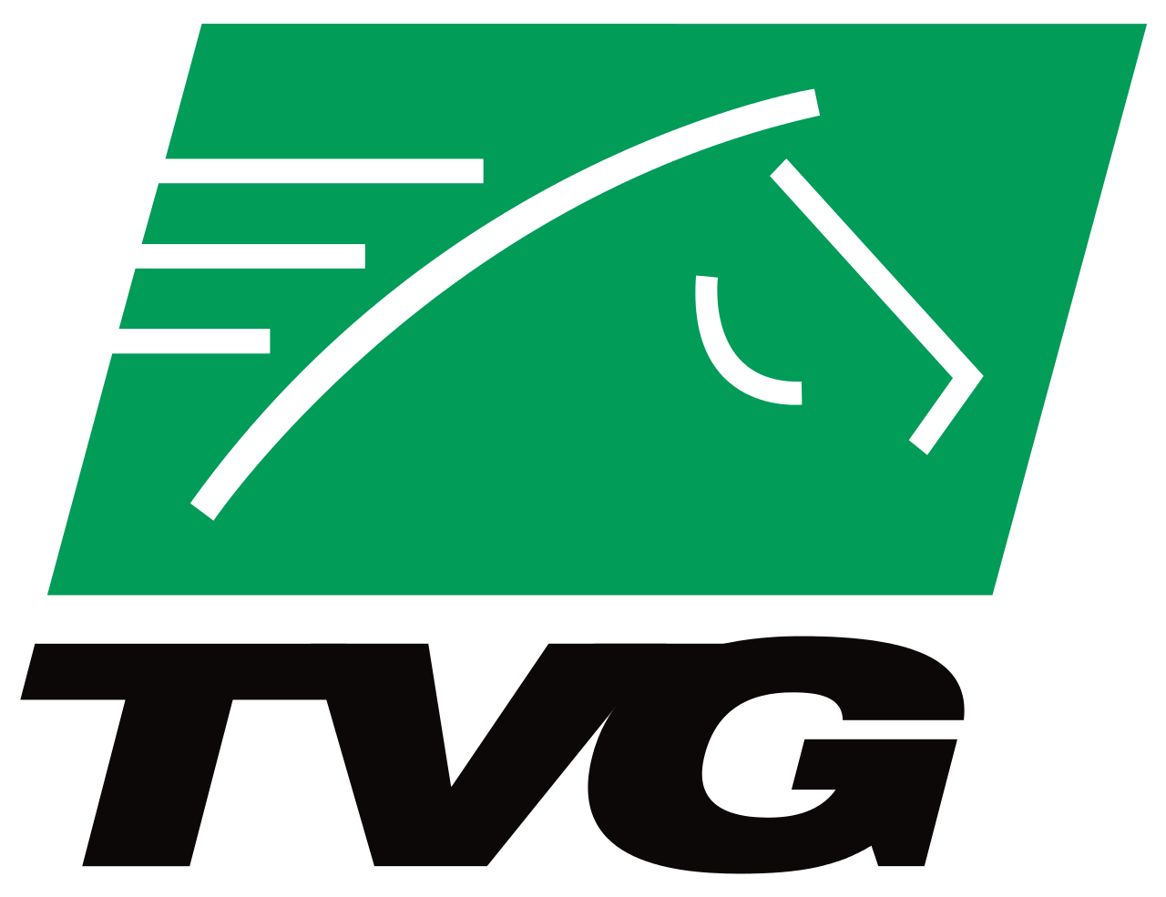 Tvg Coupon Codes & Deal